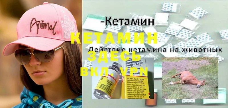 КЕТАМИН ketamine  где можно купить наркотик  Северская 