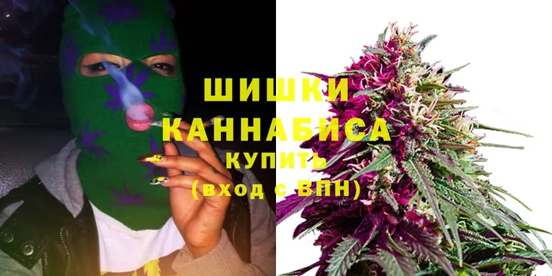 продажа наркотиков  дарк нет состав  Канабис SATIVA & INDICA  Северская 